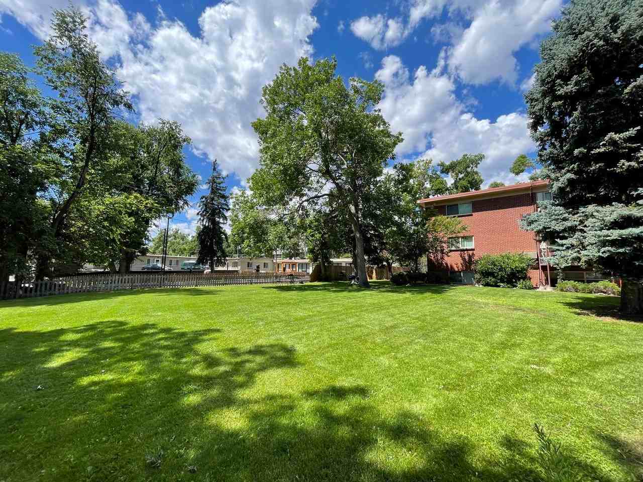 McKenzie Apartments - Photo 7 of 27