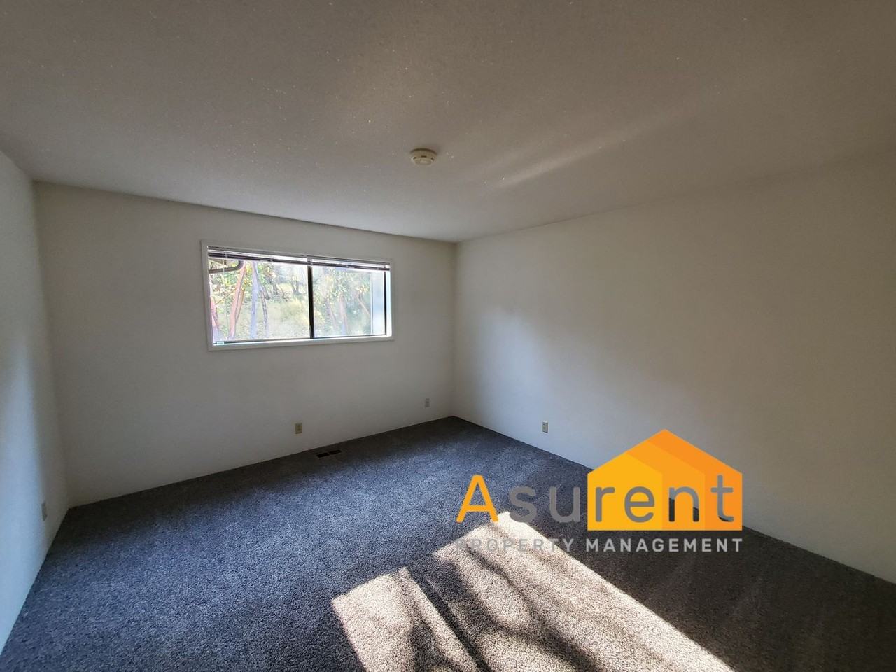 415 Richard Way - Photo 7 of 20