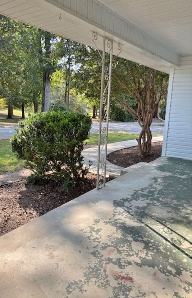 1365 County Road 1669 - Photo 3 of 18