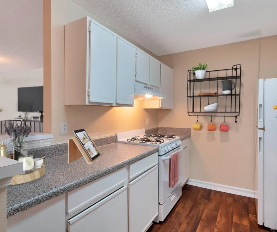 The Cove at Cloud Springs Apartment Homes - Photo 3 of 16