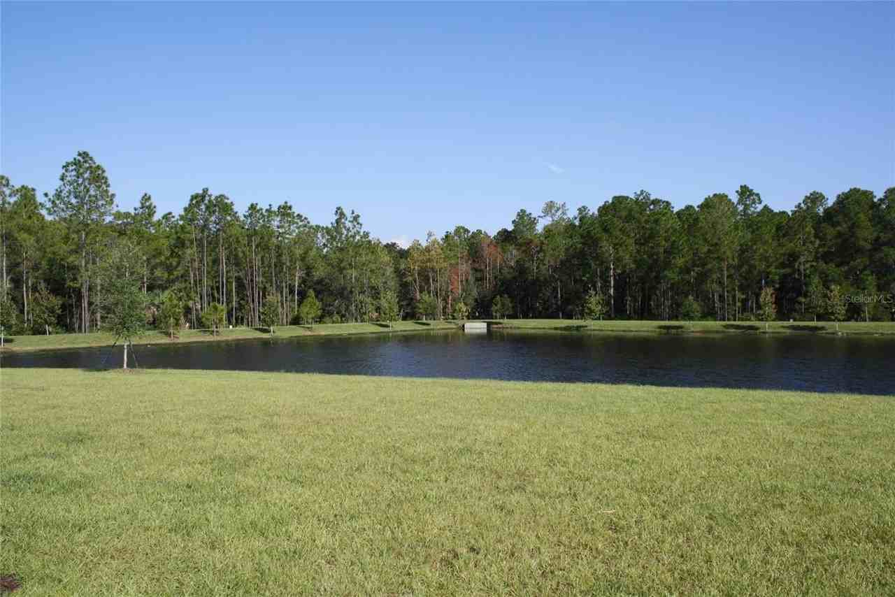 4700 Yellow Elder Way - Photo 4 of 18