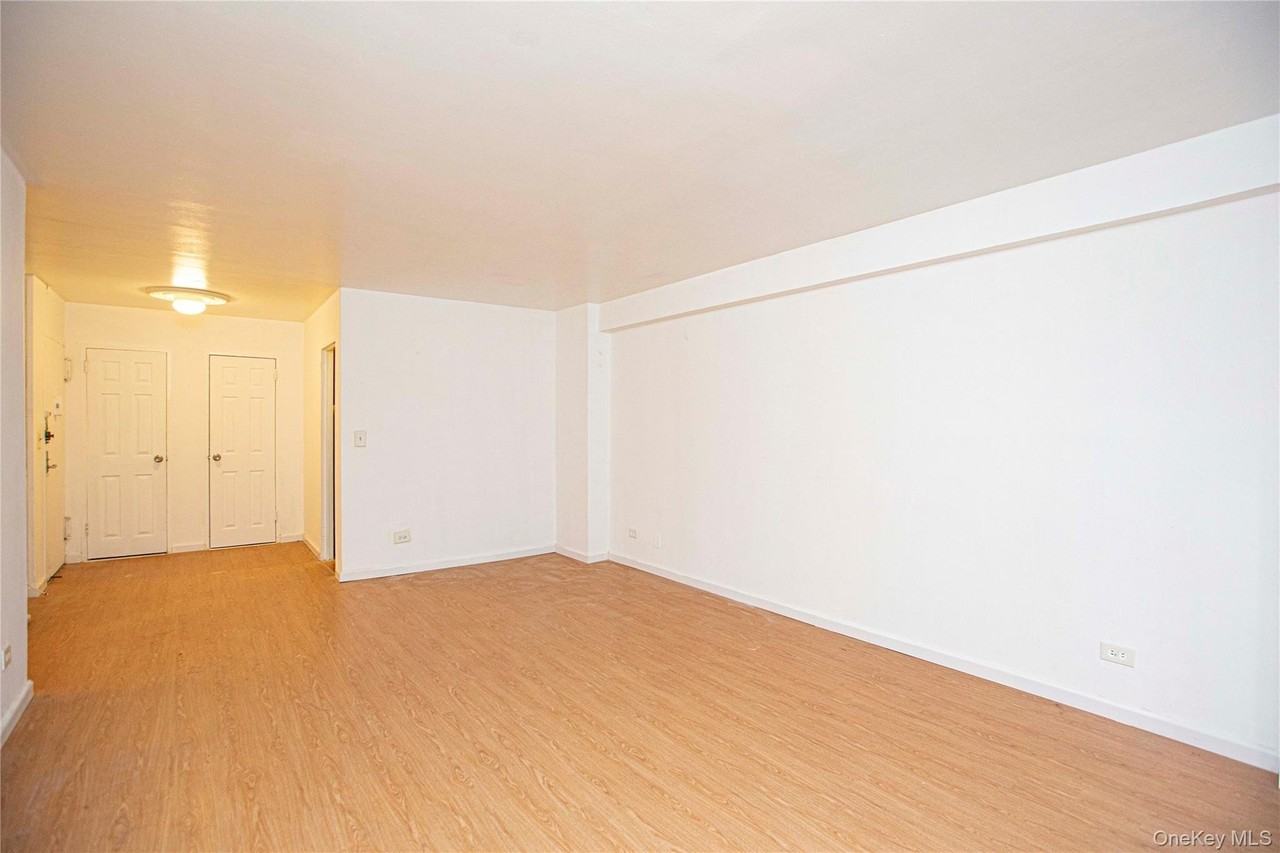 330 East 49th Street #6K - Photo 4 of 13