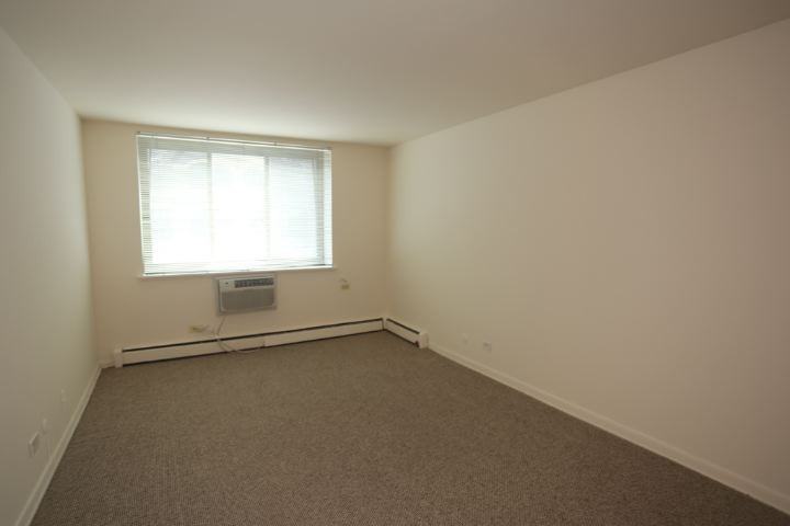540 W Roscoe St #278 - Photo 7 of 17