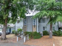 Sherwood Forest - Photo 1 of 1