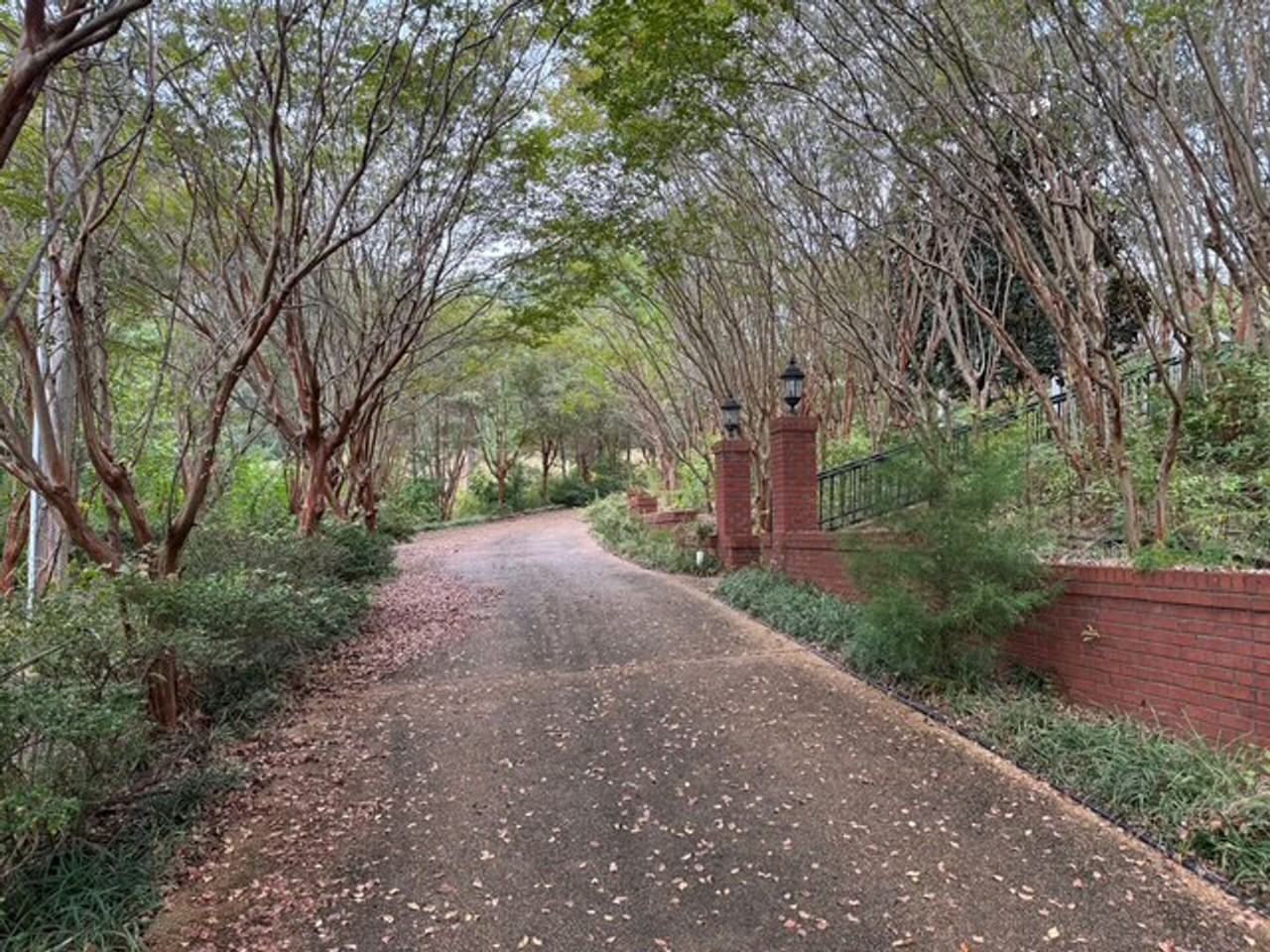 52 Graham Lake Rd - Photo 5 of 17