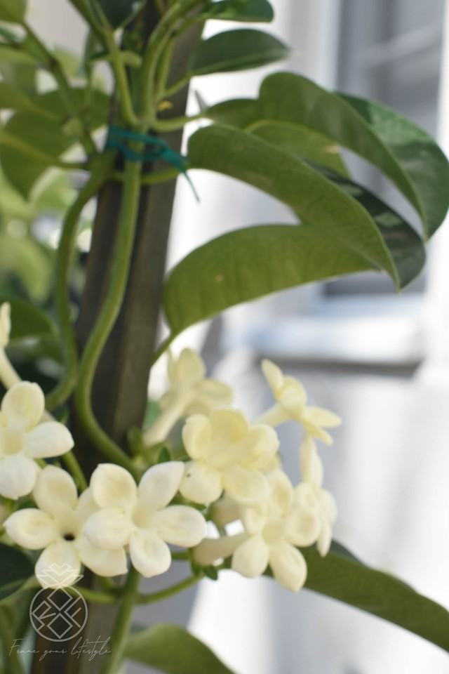 8603 Whitworth Drive - Photo 2 of 32