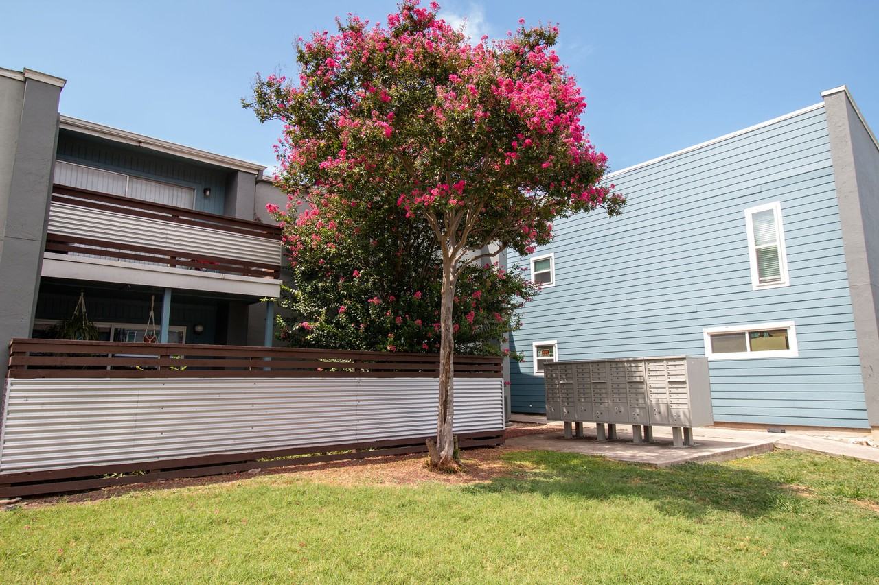 Auburn Creek - Photo 5 of 36