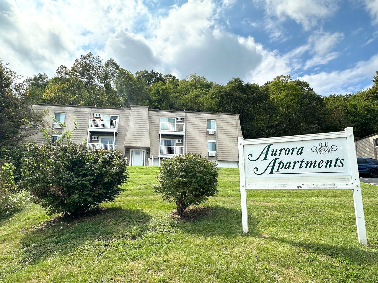 Newly Renovated Apartments - Photo 2 of 18