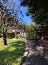904 Shreiner Ave - Photo 1 of 1
