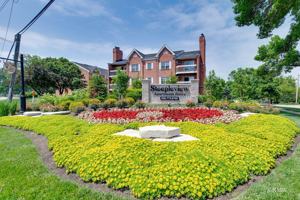 featured image of 220 S Rush St