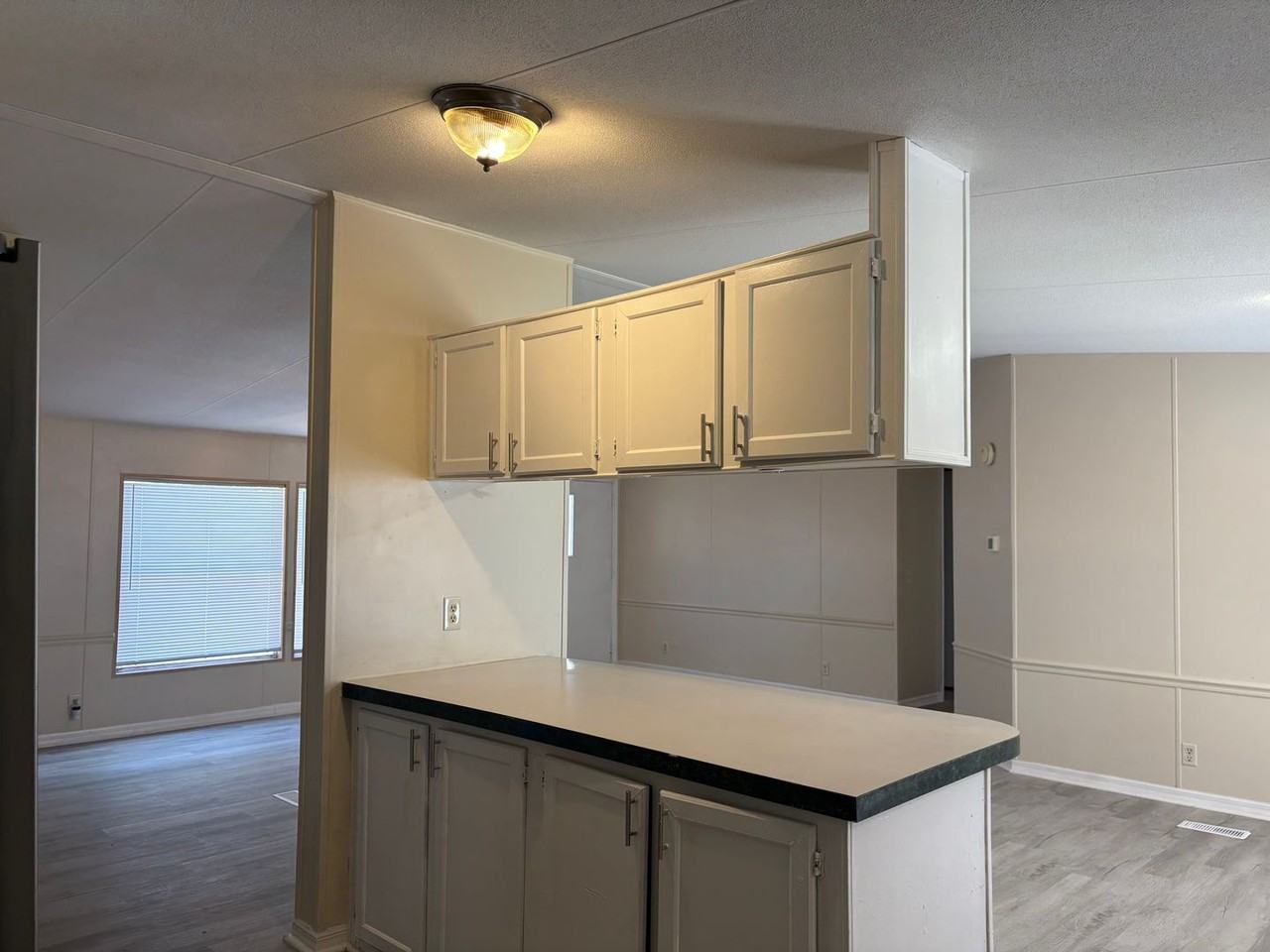 10536 Bay Hills Cir - Photo 4 of 14