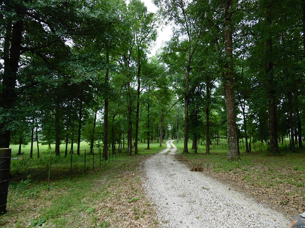 107 E Clamon Country Rd - Photo 2 of 28