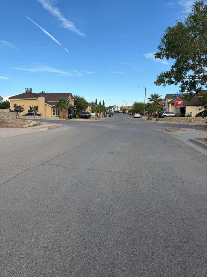 12253 Holy Springs Court - Photo 3 of 38