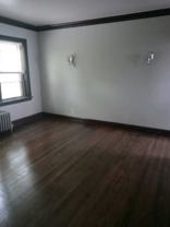 Perry - Photo 1 of 1