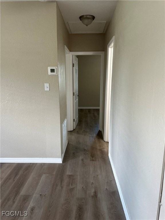 1111 Palm Ave - Photo 4 of 8