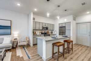 featured image of 3320 Sam Rayburn Hwy #7107