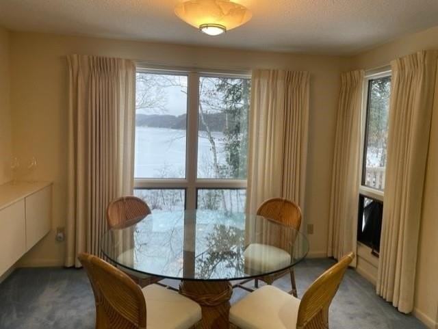 9 Pioneer Pt - Photo 4 of 17