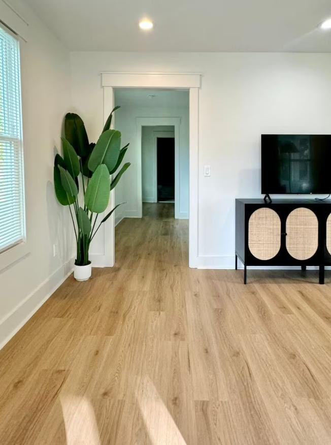 Live Oak Street - Photo 3 of 14