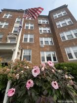 4 Langdon St #6 - Photo 1 of 1