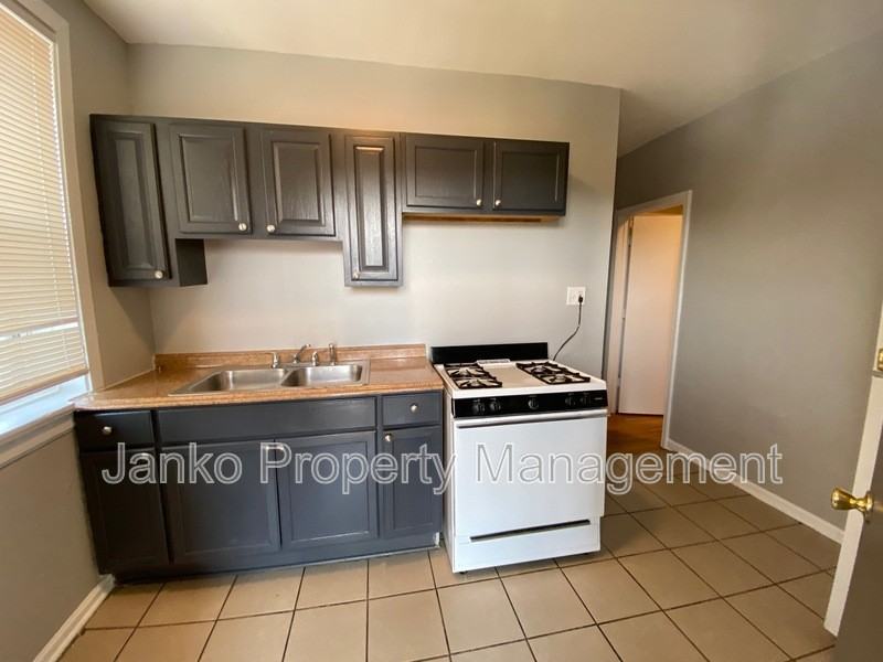 3725 W Grand Ave #2S - Photo 2 of 10