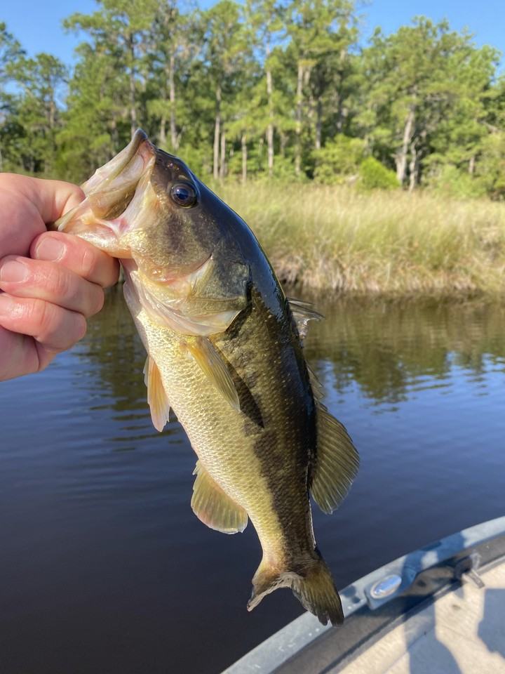 111 Morning Glory Ln #NA - Photo 3 of 12