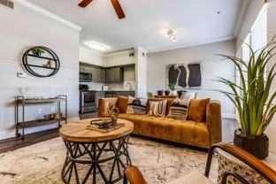 Vista Parke Dr & N FM 620 #L0335 - Photo 1 of 1