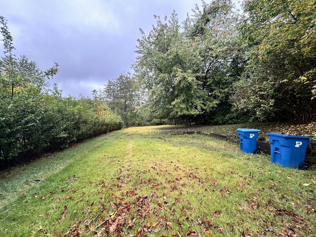 151 Collins Drive - Photo 4 of 18