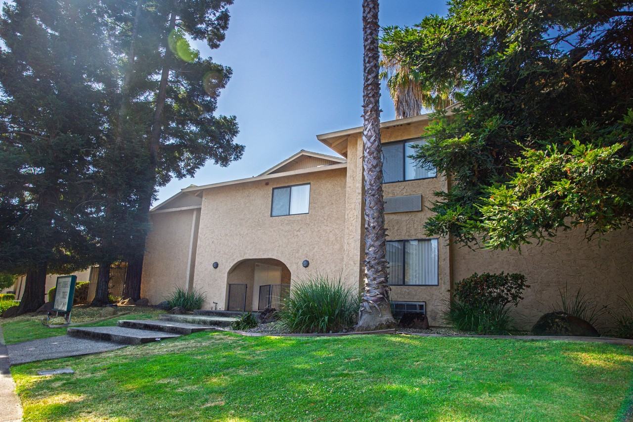 0145 - Photo 3 of 17