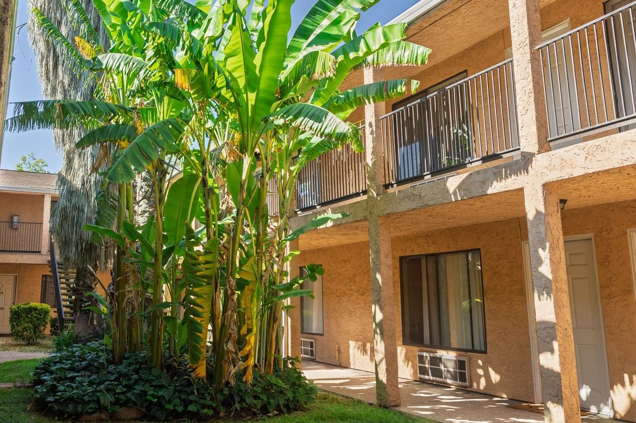 0145 - Photo 7 of 17