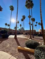 Buenas on Thunderbird - Photo 1 of 1