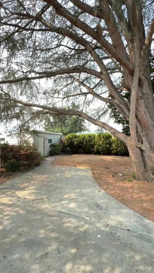 708 Preston Ave - Photo 6 of 36