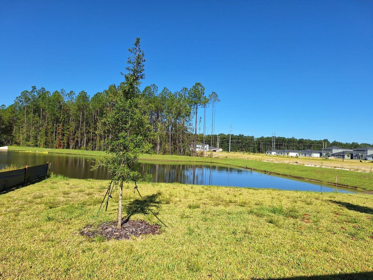 7672 Greatford Way - Photo 3 of 21