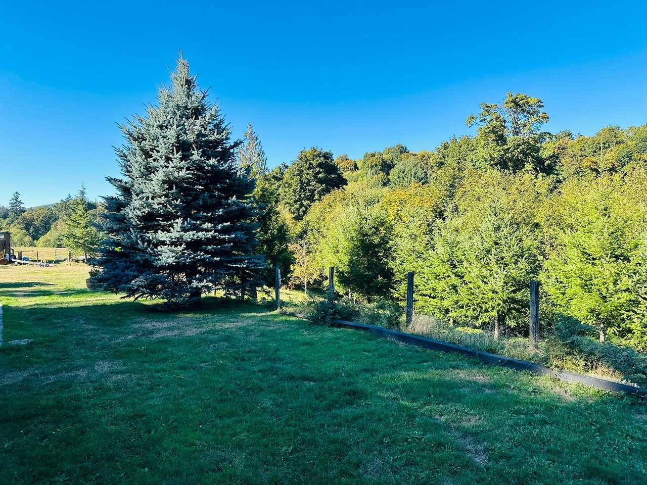 128 Bunting Drive - Photo 4 of 36