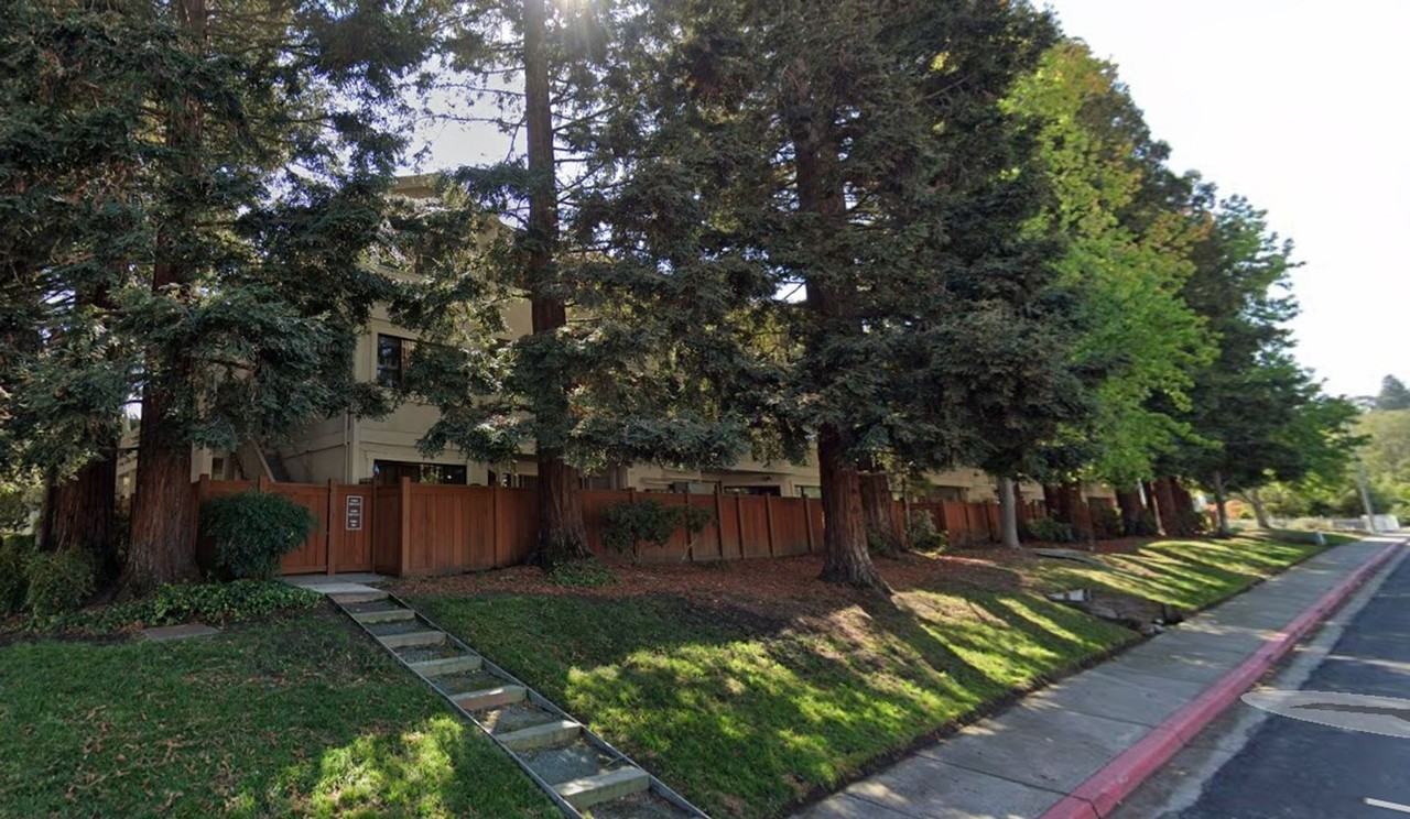 2531 Lucy Ln Apt D - Photo 3 of 15