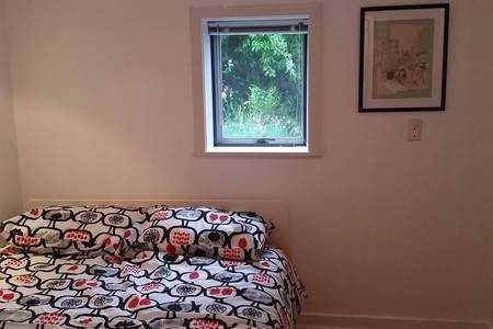 Discover Your Mt. Pleasant Treasure! Charming, Cozy 1-BR in a Pet-Friendly Heritage Home - Photo 5 of 9