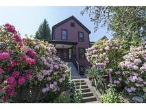 Discover Your Mt. Pleasant Treasure! Charming, Cozy 1-BR in a Pet-Friendly Heritage Home - Photo 1 of 1