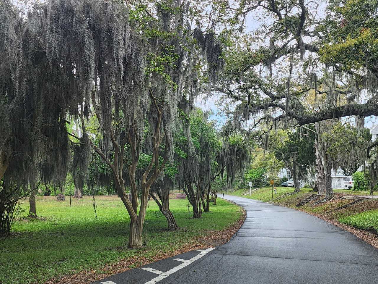 8 Cedarwood Ave #1 - Photo 2 of 30