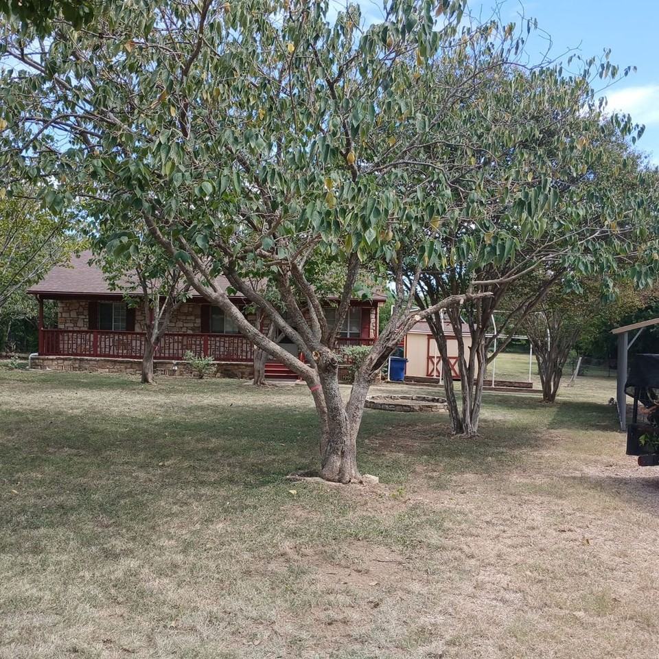 1531 County Road 269 - Photo 3 of 21