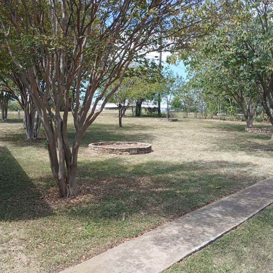 1531 County Road 269 - Photo 4 of 21