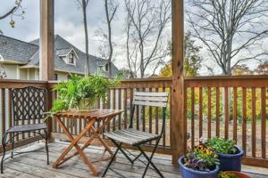 featured image of 41 Starnes Avenue