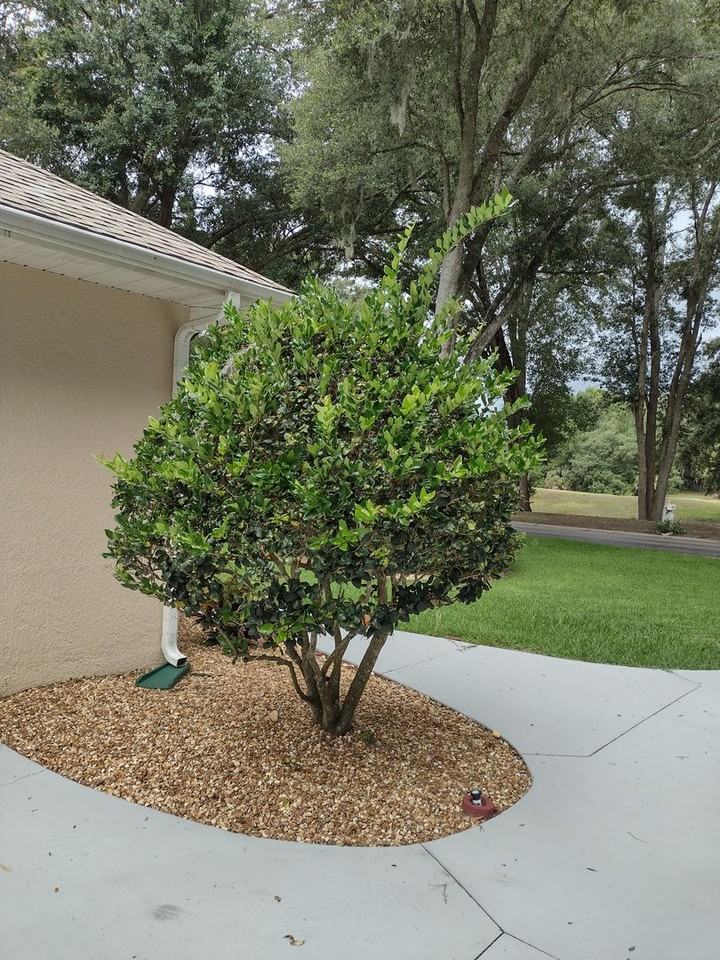 592 Dowling Cir - Photo 6 of 45