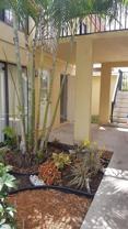 11386 Royal Palm Blvd #11386 - Photo 1 of 1