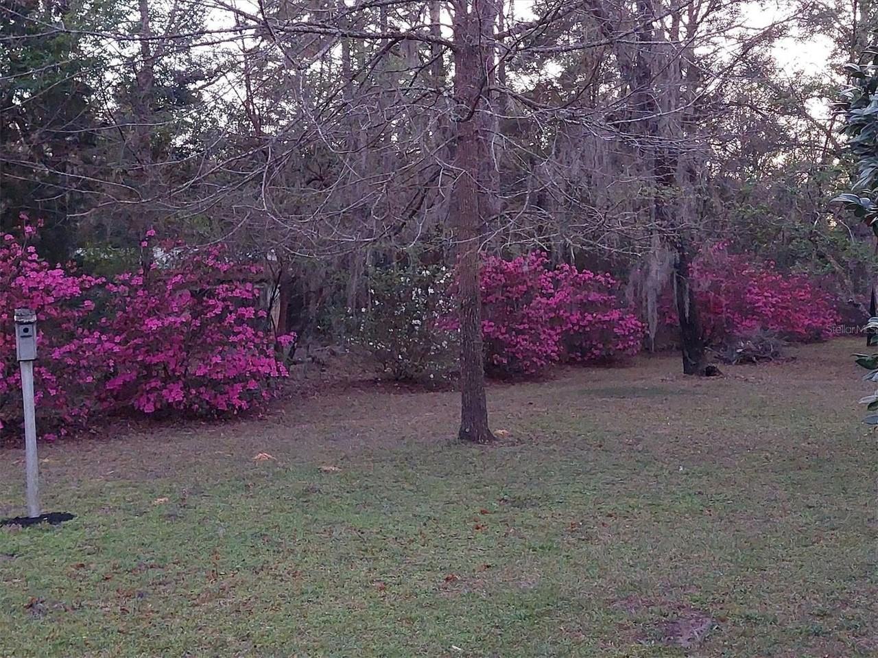 8843 Sw 200th Cir - Photo 5 of 20