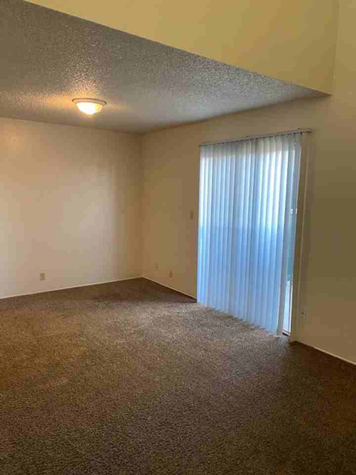 3900 El Potrero Ln #2 - Photo 6 of 13