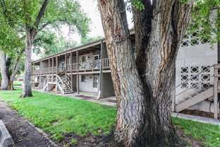701 Parker St - Photo 1 of 1