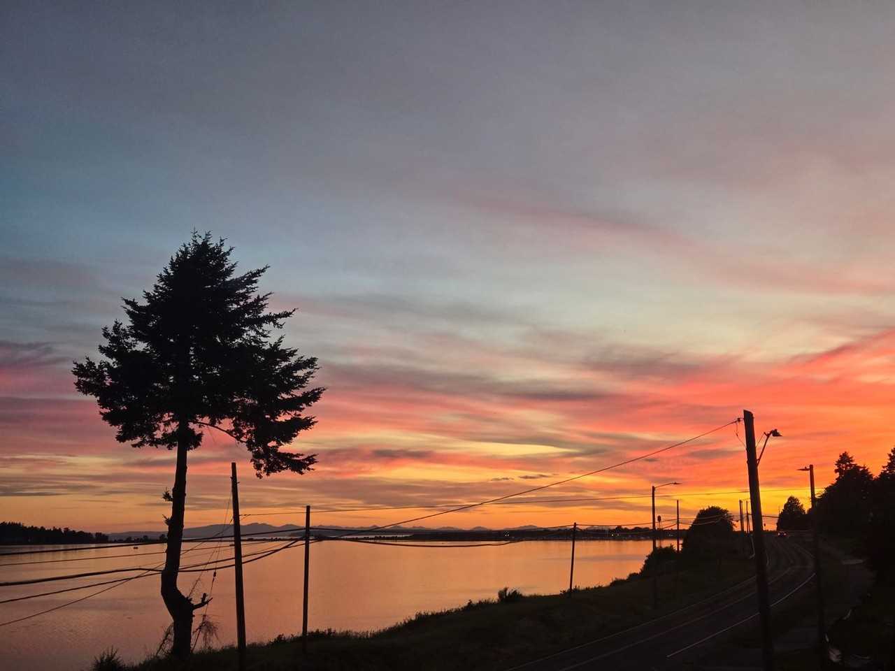 1510 Peace Portal Drive - Photo 5 of 17