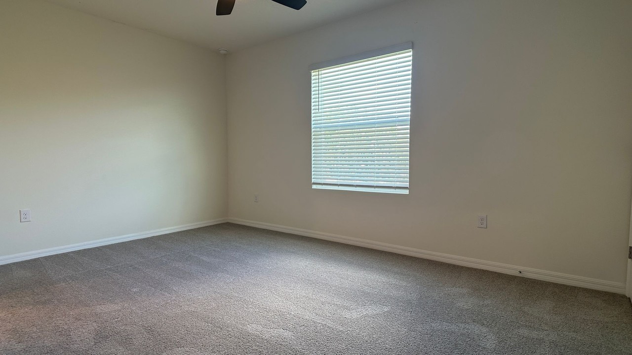 34313 Sorrel Mint Dr - Photo 6 of 16