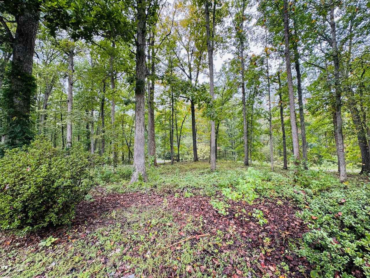 6709 Towles Mill Rd - Photo 3 of 50