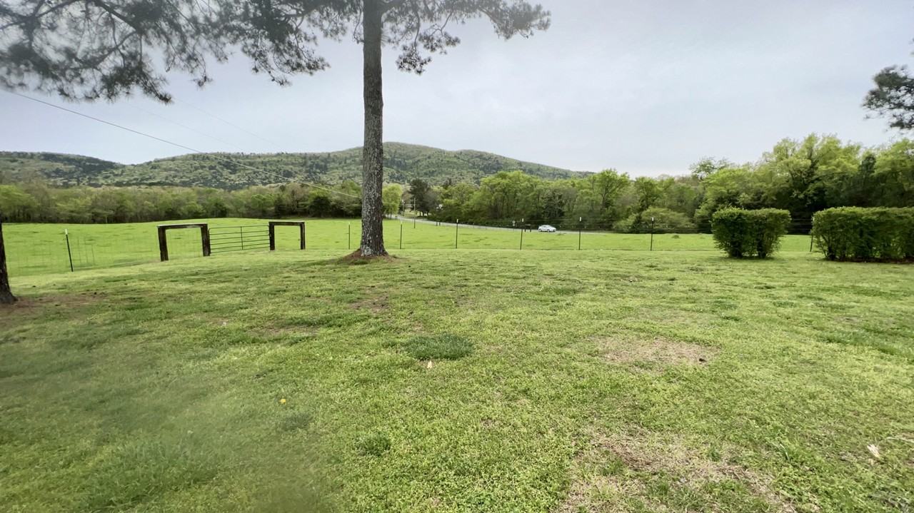 572 Blacksnake Rd #NA - Photo 5 of 20