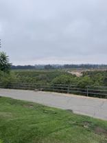 4790 Sand Canyon Rd - Photo 1 of 1